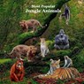 Most Popular Jungle Animals Kids Book: Great Children's Book About Animals of the Jungle - Kinsey Marie - 9781965098301