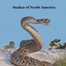 Snakes of North America Kids Book: Great Children's Book about the Types of Snakes in North America - Kinsey Marie - 9781965098523