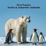 Most Popular Arctic and Antarctic Animals Kids Book: Great Arctic Animals Children's Book with Lifelike Pictures and Fun Facts - Kinsey Marie - 9781965098622