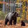 Marie, K: Montana Animals and Mammals Wildlife Book - Kinsey Marie ; Billy Grinslott - 9781965098721