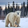 Alaska Animals and Mammals Wildlife Book: Excellent Alaska Animals Book for Children of all Ages - Kinsey Marie - 9781965098776