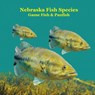 Nebraska Game Fish and Panfish Species Kids Book: Great Book About the Different Types of Fish in Nebraska - Kinsey Marie - 9781965098998