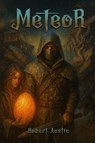 Meteor - Robert Austin - 9781965273234