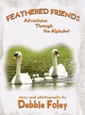 Feathered Friends - Debbie Foley - 9781966675525