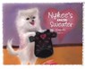 Nykee's Amazing Sweater - Kim Brooks-Miller - 9781968296247