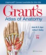 Grant's Atlas of Anatomy - Anne M. R. Agur - 9781975193430