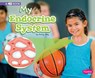 My Endocrine System: A 4D Book - Emily Raij - 9781977105578