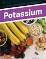 Potassium - Donna B. McKinney - 9781978503694