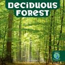 Deciduous Forest - Francie Dolan - 9781978577138