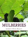 Mulberries - Roger Chambers - 9781979454377