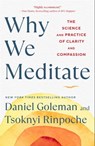 Why We Meditate - Daniel Goleman ; Tsoknyi Rinpoche - 9781982178475