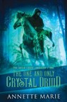 The One and Only Crystal Druid - Annette Marie - 9781988153599