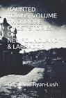 Haunted Towns, Volume Two: More Ghost Stories of Newfoundland & Labrador - Geraldine Ryan-Lush - 9781989430064