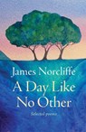 A Day Like No Other - James Norcliffe - 9781991348166