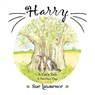 Harry a Cat's Tale, a Purrfect Day - Sue Lawrence - 9781999919641