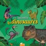 Je découvre les dinosaures - coffret avec lampe magique - Eric Mathivet - 9782017054313