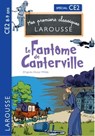 Le fantôme de Canterville d'après Oscar Wilde - CE2 - Catherine Mory ; Simon Roginski - 9782036005877