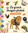 Le grand imagier photos des animaux - Caroline Dall'ava - 9782036077645