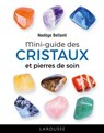 Le petit guide des cristaux - Nadège Bellanti - 9782036092778
