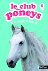 le club des poneys t5 : la protegee de neige - Sylvie Baussier ; Olivier Rabouan - 9782092547922