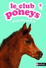 club des poneys t9: doux reve grandit - Olivier Rabouan ; Sylvie Baussier - 9782092553435