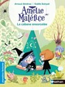 Amélie Maléfice - La Cabane ensorcelée - Lecture CP niveau 3 - Dès 6 ans - Arnaud Alméras - 9782092582237
