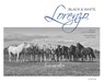 Lorenzo Black & White - Luisine Dessagne - 9782330168889