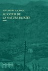 Au coeur de la nature blessée - Apprendre à voir les paysages du XXIe siècle - Alexandre Lacroix - 9782370734228