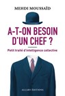 A-t-on besoin d'un chef ? - Petit traité d'intelligence collective - Mehdi Moussaid - 9782370735775