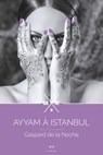 Ayyam - tome 2, Ayyam à Istanbul - Gaspard de La Noche - 9782374020181