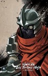 Les Tortues Ninja - TMNT : L'Intégrale T6 - Paul Allor ; Kevin Eastman ; Bobby Curnow ; Tom Waltz ; Mariko Tamaki ; Andy Kuhn ; Mateus Santolouco ; Cory Smith ; Irène Koh - 9782378874445
