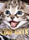 Love Cats - Editions Florentin - 9782487507074