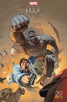 Hulk gris (Edition 20 ans Panini Comics) - Jeph Loeb ; Tim Sale - 9782809470277