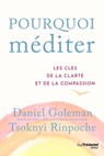 Pourquoi méditer - Daniel Goleman ; Tsoknyi Rinpoche - 9782813229199