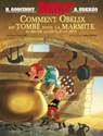 Astérix - Comment Obélix est tombé dans la marmite quand il était petit - René Goscinny ; Albert Uderzo - 9782864973188