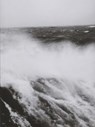 Autre Eden - Philippe Lopparelli ; Marie-Pierre Losfeld - 9782918960058