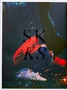 SKKS - Gilles Pourtier - 9782918960942