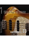 Das Sandberg Buch - THE FACE OF BASS -  - 9783000863875