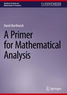 A Primer for Mathematical Analysis - David Borthwick - 9783031917127