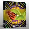 Reflexionen - Albert Hofmann - 9783037884775