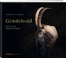 Grindelwald - Speedy Füllemann - 9783038184874