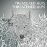 Pasotti, J: Treasured Alps/ Malbuch - PASOTTI,  Jacopo - 9783038690276