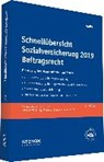 Geiken: Schnellübersicht Sozialversicherung 2019 Beitragsr. - GEIKEN,  Manfred - 9783083145073