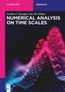 Numerical Analysis on Time Scales - Svetlin G. Georgiev ; Inci M. Erhan - 9783110787252