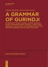 A Grammar of Gurindji - Patrick McConvell ; Felicity Meakins - 9783111275949
