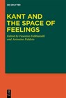 Kant and the Space of Feelings - Faustino Fabbianelli ; Antonino Falduto - 9783111607245