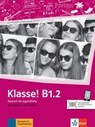 Klasse in Teilbanden - Sarah Fleer ;  Ute Koithan ;  Tanja Mayr-Sieber ;  Bettina Schwieger - 9783126072144