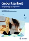 Geburtsarbeit - Deutscher Hebammenverband e. V. - 9783132446885