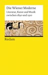 Literatur, Kunst Und Musik Zwischen 1890 Und 1910 - Wiener Moderne - 9783150077429