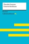 Unterm Birnbaum von Theodor Fontane - Wilhelm Borcherding ; Theodor Fontane - 9783159618265